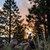 laura farner thumbnail